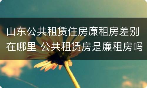 山东公共租赁住房廉租房差别在哪里 公共租赁房是廉租房吗