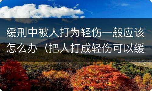 缓刑中被人打为轻伤一般应该怎么办（把人打成轻伤可以缓刑吗）
