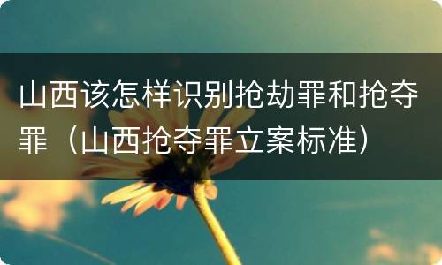 山西该怎样识别抢劫罪和抢夺罪（山西抢夺罪立案标准）