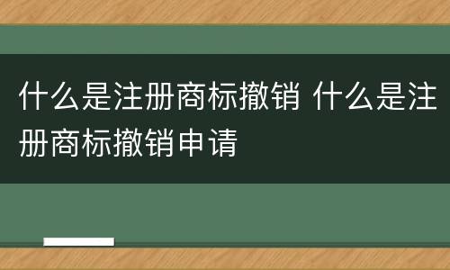 什么是注册商标撤销 什么是注册商标撤销申请