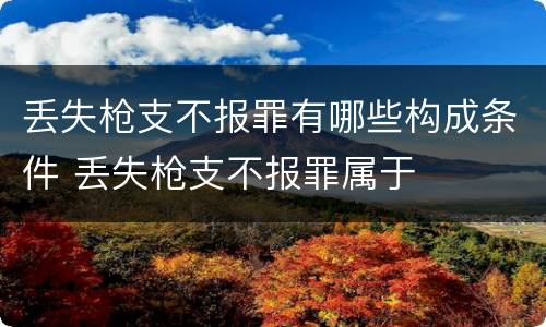 丢失枪支不报罪有哪些构成条件 丢失枪支不报罪属于
