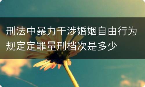 刑法中暴力干涉婚姻自由行为规定定罪量刑档次是多少