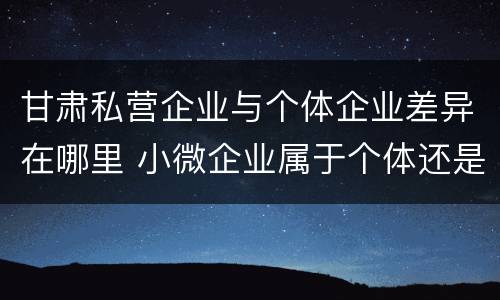 甘肃私营企业与个体企业差异在哪里 小微企业属于个体还是私营