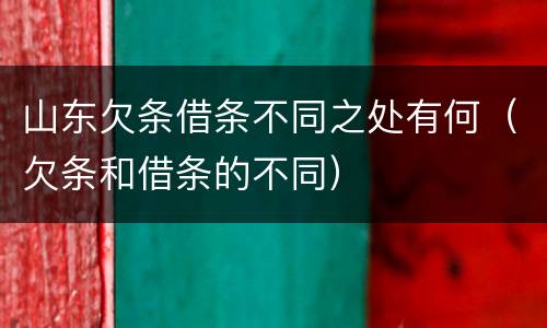 山东欠条借条不同之处有何（欠条和借条的不同）