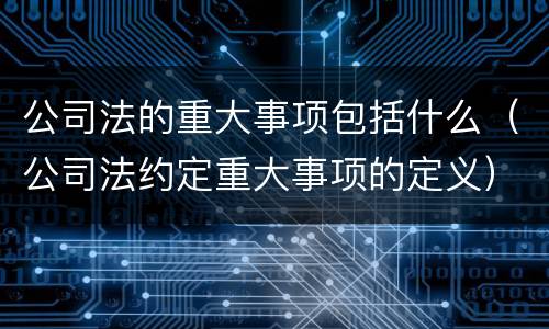 公司法的重大事项包括什么（公司法约定重大事项的定义）