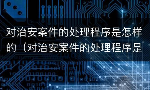对治安案件的处理程序是怎样的（对治安案件的处理程序是怎样的处罚）