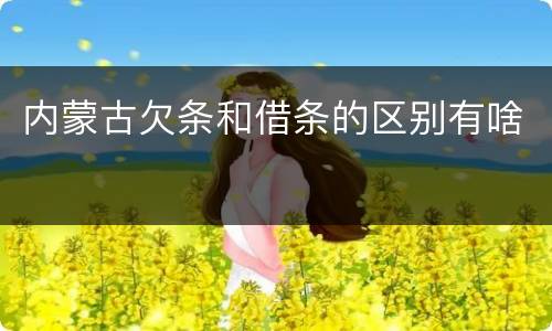 内蒙古欠条和借条的区别有啥