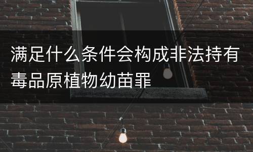 满足什么条件会构成非法持有毒品原植物幼苗罪