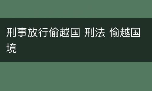 刑事放行偷越国 刑法 偷越国境