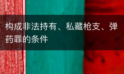 构成非法持有、私藏枪支、弹药罪的条件