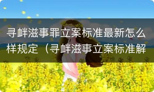 寻衅滋事罪立案标准最新怎么样规定（寻衅滋事立案标准解释）