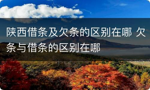 陕西借条及欠条的区别在哪 欠条与借条的区别在哪