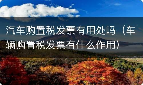 汽车购置税发票有用处吗（车辆购置税发票有什么作用）