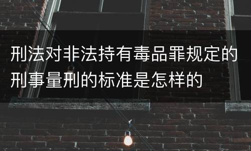 刑法对非法持有毒品罪规定的刑事量刑的标准是怎样的
