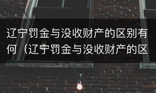 辽宁罚金与没收财产的区别有何（辽宁罚金与没收财产的区别有何关系）