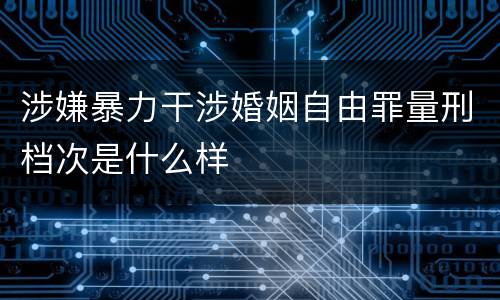 涉嫌暴力干涉婚姻自由罪量刑档次是什么样