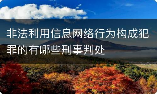 非法利用信息网络行为构成犯罪的有哪些刑事判处