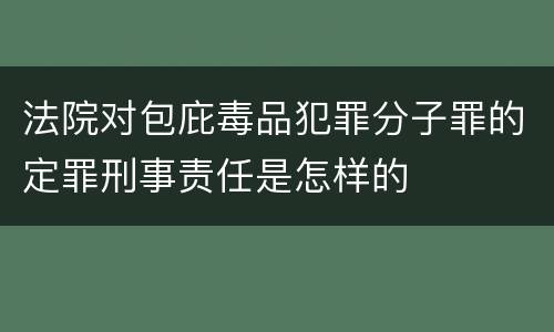 法院对包庇毒品犯罪分子罪的定罪刑事责任是怎样的