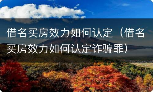 借名买房效力如何认定（借名买房效力如何认定诈骗罪）