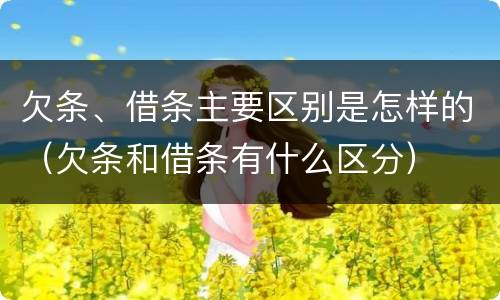 欠条、借条主要区别是怎样的（欠条和借条有什么区分）