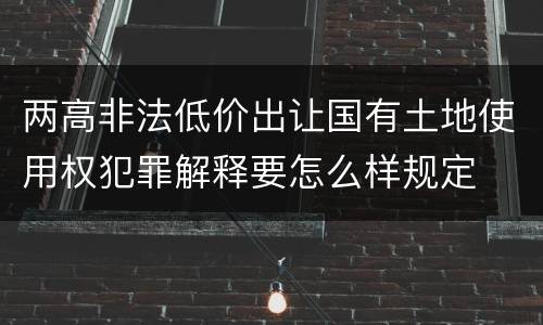 两高非法低价出让国有土地使用权犯罪解释要怎么样规定