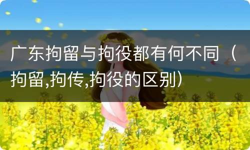 广东拘留与拘役都有何不同（拘留,拘传,拘役的区别）