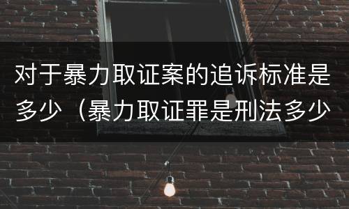 对于暴力取证案的追诉标准是多少（暴力取证罪是刑法多少条）