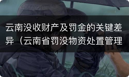 云南没收财产及罚金的关键差异（云南省罚没物资处置管理办法）
