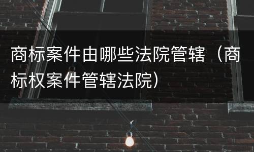 商标案件由哪些法院管辖（商标权案件管辖法院）