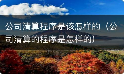 公司清算程序是该怎样的（公司清算的程序是怎样的）