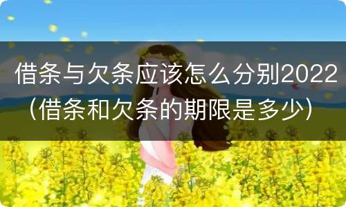 借条与欠条应该怎么分别2022（借条和欠条的期限是多少）