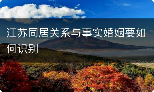 江苏同居关系与事实婚姻要如何识别
