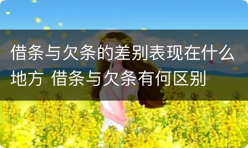 借条与欠条的差别表现在什么地方 借条与欠条有何区别
