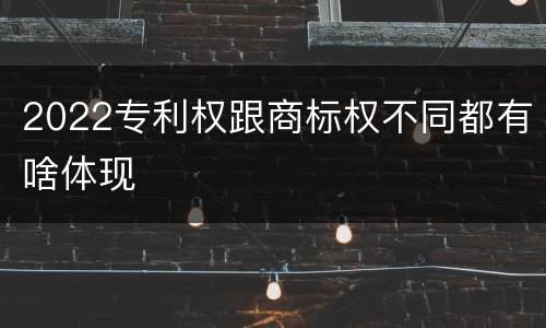 2022专利权跟商标权不同都有啥体现