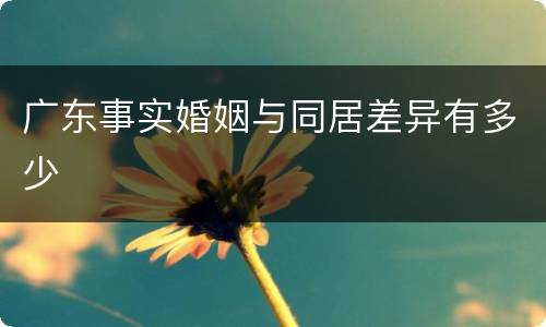 广东事实婚姻与同居差异有多少