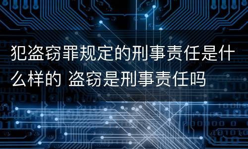 犯盗窃罪规定的刑事责任是什么样的 盗窃是刑事责任吗