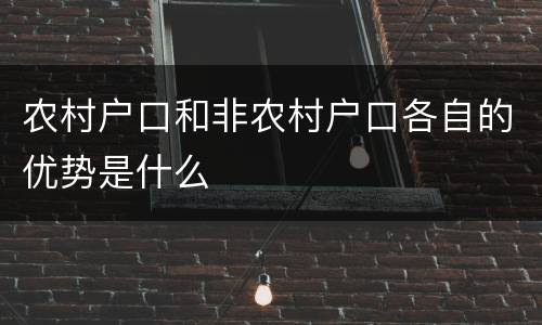 农村户口和非农村户口各自的优势是什么
