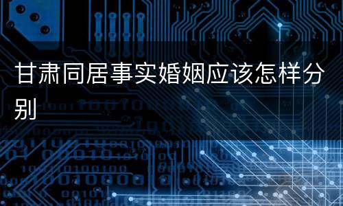 甘肃同居事实婚姻应该怎样分别