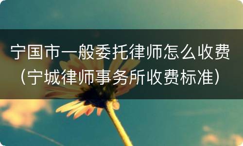 宁国市一般委托律师怎么收费（宁城律师事务所收费标准）