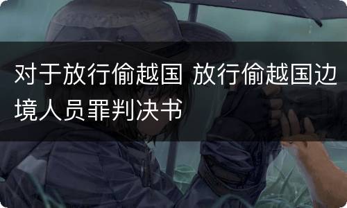对于放行偷越国 放行偷越国边境人员罪判决书