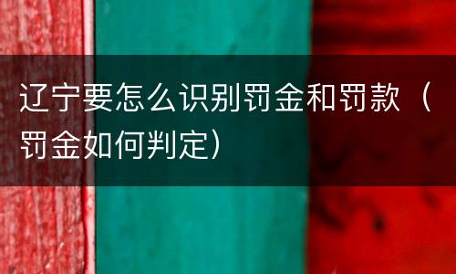 辽宁要怎么识别罚金和罚款（罚金如何判定）
