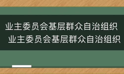 业主委员会基层群众自治组织 业主委员会基层群众自治组织的作用