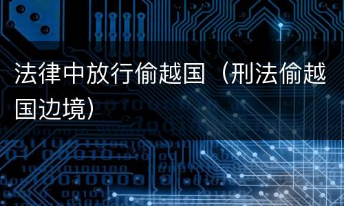 法律中放行偷越国（刑法偷越国边境）