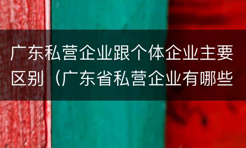 广东私营企业跟个体企业主要区别（广东省私营企业有哪些）