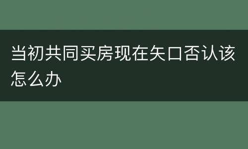 当初共同买房现在矢口否认该怎么办