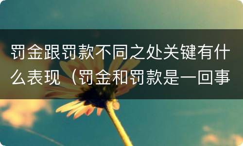 罚金跟罚款不同之处关键有什么表现（罚金和罚款是一回事吗）
