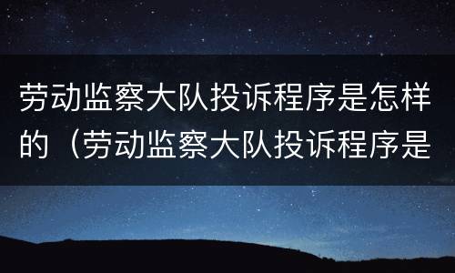 劳动监察大队投诉程序是怎样的（劳动监察大队投诉程序是怎样的呀）