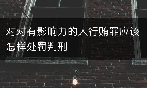 对对有影响力的人行贿罪应该怎样处罚判刑
