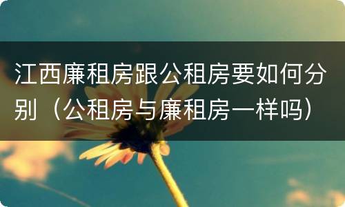 江西廉租房跟公租房要如何分别（公租房与廉租房一样吗）