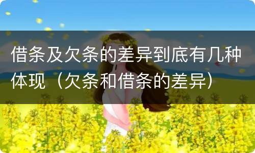 借条及欠条的差异到底有几种体现（欠条和借条的差异）